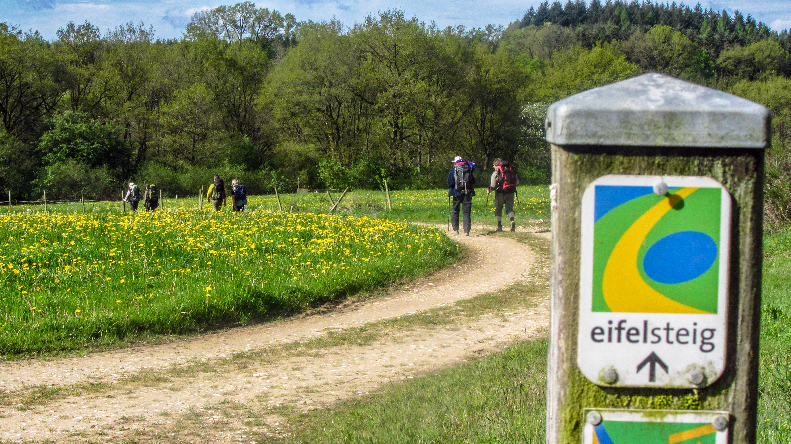 Auf dem Eifelsteig von Gerolstein nach Trier